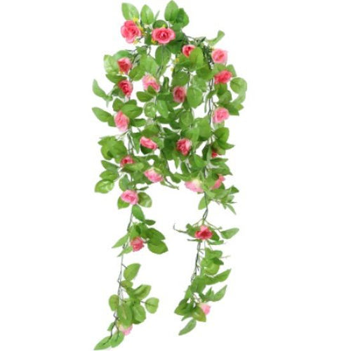 86cm Trailing Spring Rose Bush Pink/Dark Pink