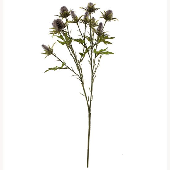 68cm Lilac Eryngium Sea Holly Thistle - Autumn Single Stem