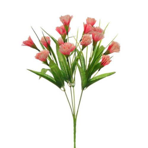 24 X 32cm Coral Carnation Bush - Full Box