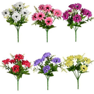 36 X 28cm Scabiosa Bush - Assorted Colours - Full Box