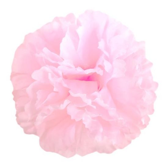 9cm Baby Pink Artificial Carnation Pick x 144pcs