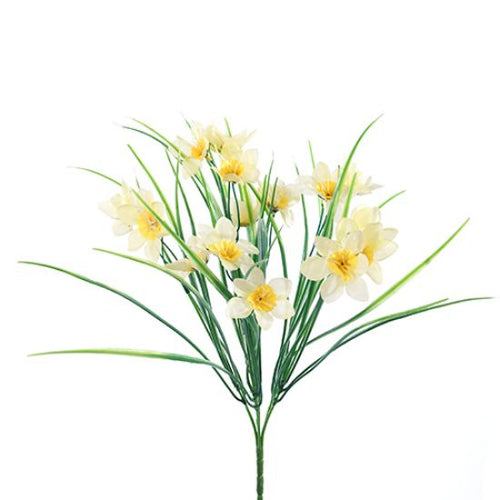 Full Box x 48pcs - 40cm Mini Daffodil Bush with Grass