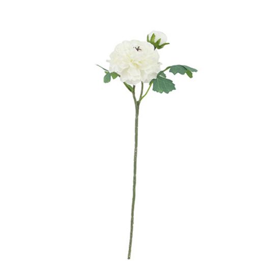 45cm Single Stem Ranunculus Spray - Ivory – Titleys Flowers / Direct ...
