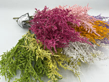 Load image into Gallery viewer, 48 X Blossom - Filler Bunch -  Assorted Colours - Full Box