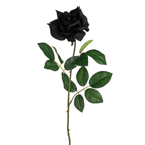 71cm Black Large Premium Rose