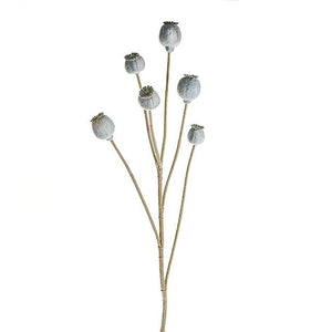 79cm Poppy Seed Pod Spray Grey