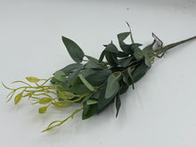 Load image into Gallery viewer, 24 X Blossom - Greenery Ruscus Stem -  Assorted Colours - Full Box