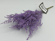 Load image into Gallery viewer, 48 X Blossom - Filler Bunch -  Assorted Colours - Full Box