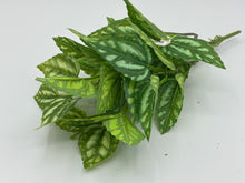 Load image into Gallery viewer, 48 X Blossom - Greenery Bunch -  Assorted Colours - Full Box