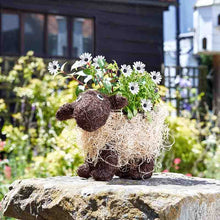 Load image into Gallery viewer, Salim Garden Planters