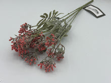 Load image into Gallery viewer, 48 X Blossom - Berry Filler Bunch -  Assorted Colours - Full Box