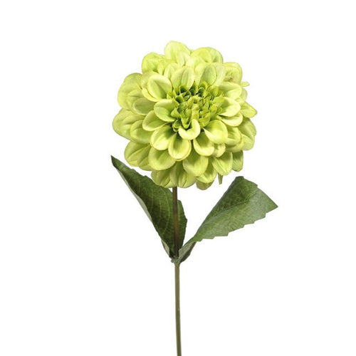 46cm Zinnia Stem Green - Artificial Flower