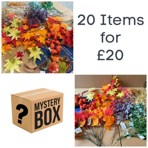 20 items for £20 - Autumn Surprise Box