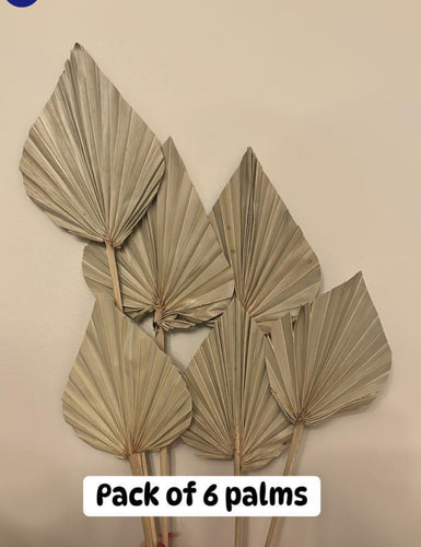Pack of 6 - Dried Palm Spears