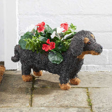 Load image into Gallery viewer, Salim Garden Planters