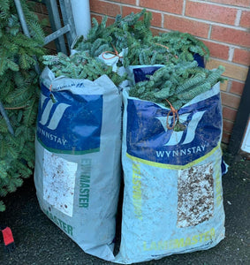 Bag of English Spruce Cuttings - Click and Collect Only