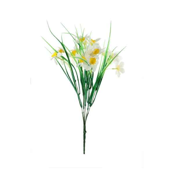 Wild White Daffodil Bunch - Spring Flower