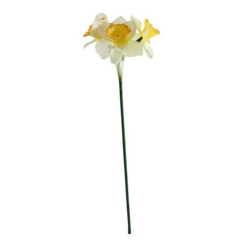 72 X White Mini Daffodil - 3 Heads per stem - FULL BOX