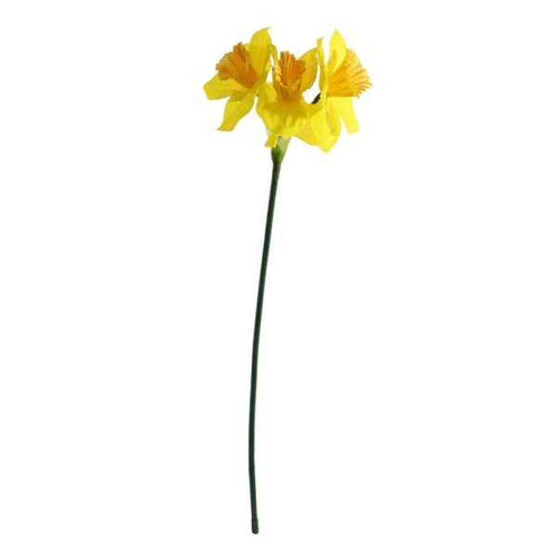 72 X Yellow Mini Daffodil - 3 Heads per stem - FULL BOX