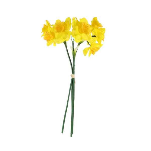 Yellow Mini Daffodil Bunch - Spring Flower