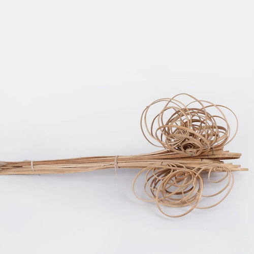 50cm Pack of 25 x Cane Coils
