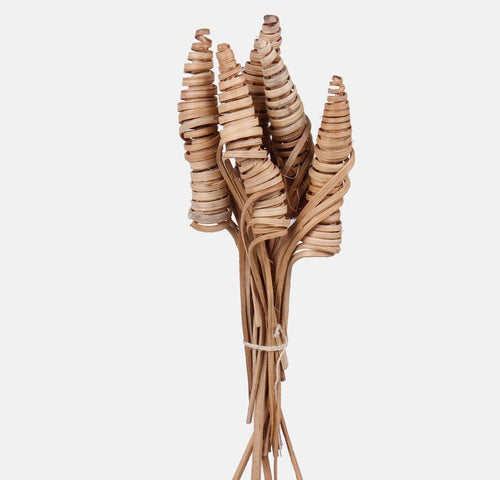 Pack of 25 x Mini Cane Swirls