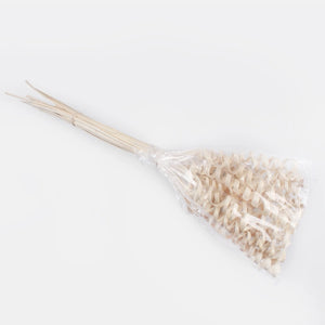 30cm Pack of 25 x Mini Cane Bleached Springs