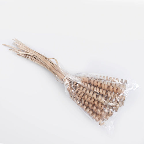 30cm Pack of 25 x Mini Cane Springs