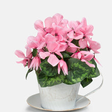 Load image into Gallery viewer, 30cm Artificial Cyclamen Plant - Mixed Colours