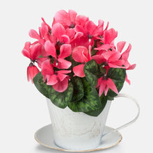 Load image into Gallery viewer, 30cm Artificial Cyclamen Plant - Mixed Colours