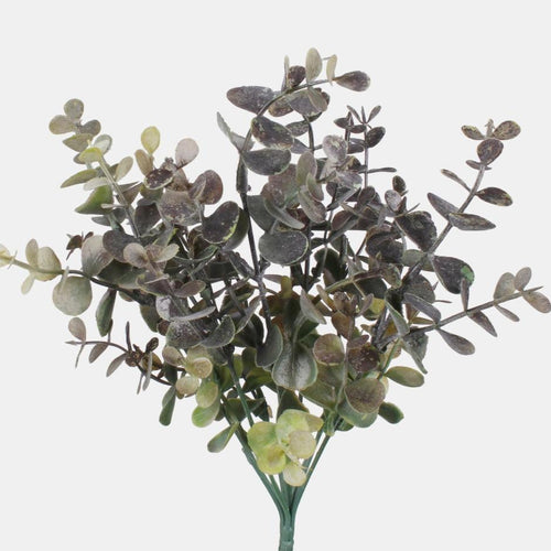 Box of 12 - 35cm Grey/Brown Eucalyptus Bundle - FULL BOX