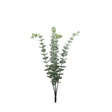 Load image into Gallery viewer, 46cm Eucalyptus Bunch - Grey Green - 5 Stems