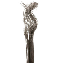 Load image into Gallery viewer, 60cm Bundle of Silver Ting Ting - Dried Christmas