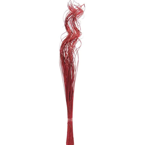 60cm Bundle of Red Ting Ting - Dried Christmas