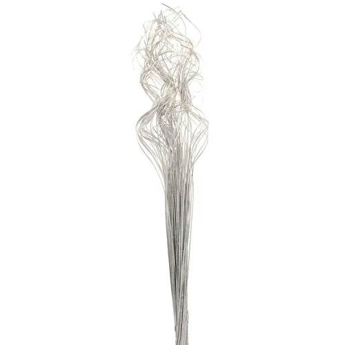 60cm Bundle of Silver Ting Ting - Dried Christmas