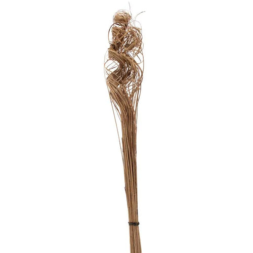 60cm Bundle of Natural Ting Ting - Dried Christmas