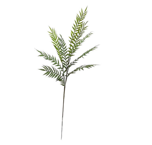 80cm Artificial Hottentot Fern Single Stem Spray - Greenery