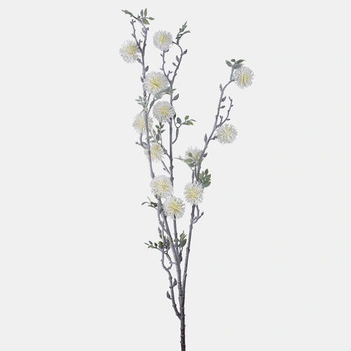 92cm White Buttonbush Branch Green Foliage Greenery - Single Stem