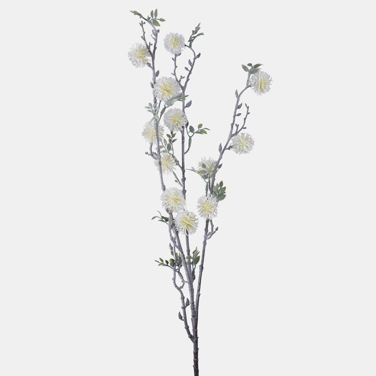 92cm White Buttonbush Branch Green Foliage Greenery - Single Stem