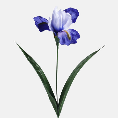 60cm Blue Iris - Single Stem