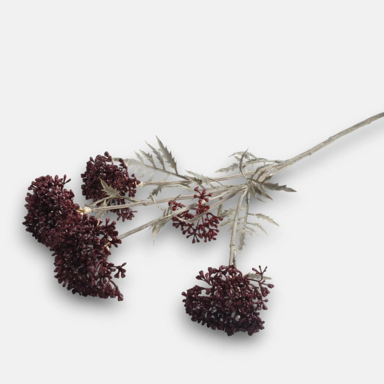 72cm Burgundy Yarrow Single Stem - Autumnal