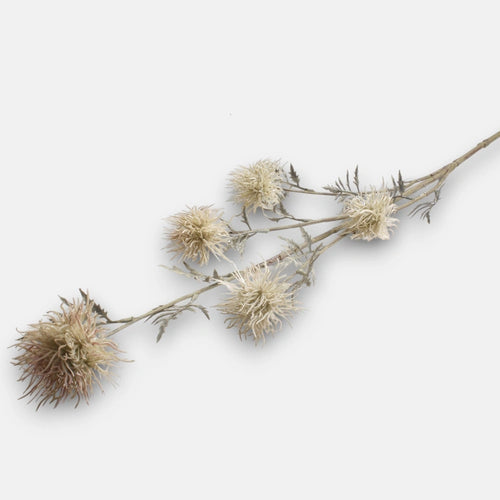 85cm Cream Chrysanthemum Single Stem - Autumnal