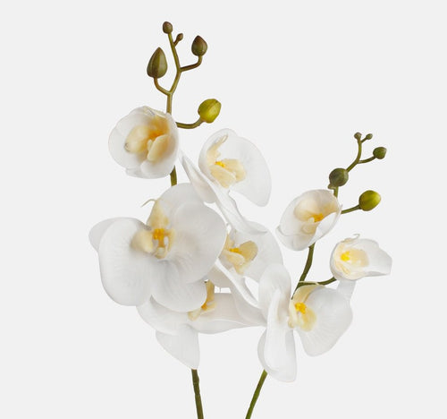 55cm Artificial Cream Orchid - Single Stem Wedding