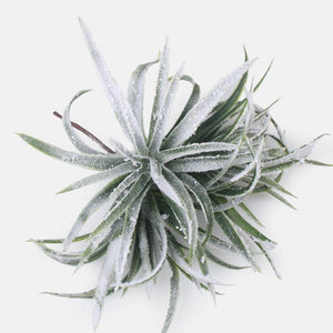 19cm Snow Covered Grass on Pick  - Christmas Artificial Xmas