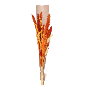 60cm Dried Mixed Flower Bouquet - Orange/Cream - 10 stems - Dried Flowers