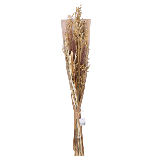 60cm Dried Mixed Flower Bouquet - Natural/Cream - 10 stems - Dried Flowers