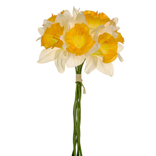 34cm Cream Orange Daffodil Bundle