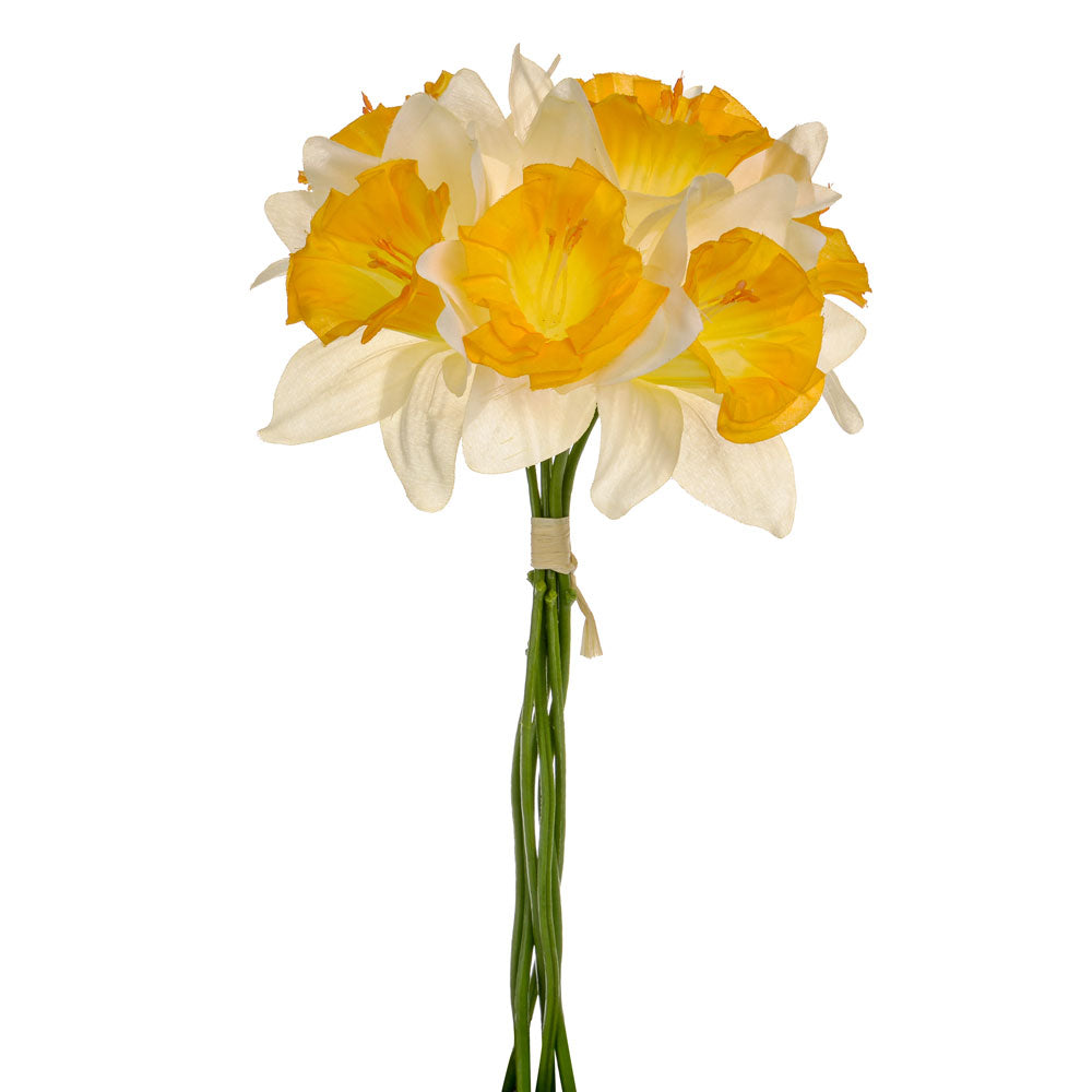 34cm Cream Orange Daffodil Bundle (ND)