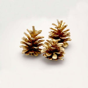 1kg Austriaca Gold Cones - Floral Christmas Wreath Decoration