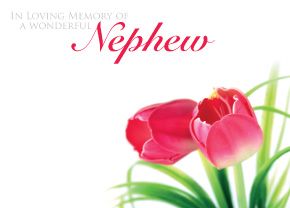 1 x Pack Large In Loving Memory of a Wonderful Nephew Card - Funeral / Memorial Red Tulip Floral Design